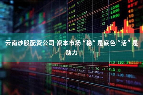 云南炒股配资公司 资本市场“稳”是底色“活”是动力