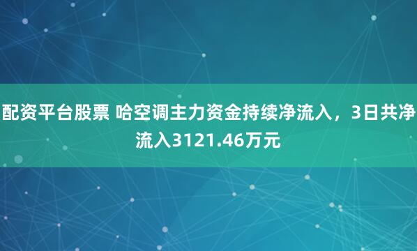 配资平台股票 哈空调主力资金持续净流入，3日共净流入3121.46万元